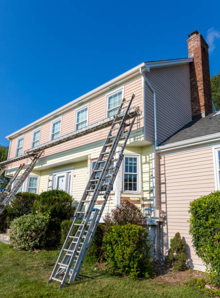 Best Carpet Removal and Disposal  in Bellerose Terrace, NY