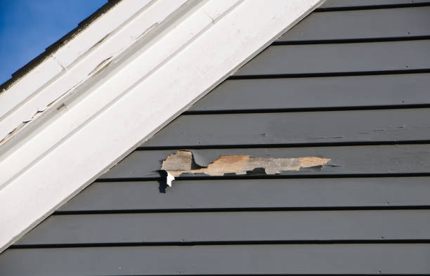 Best Construction Debris Removal  in Bellerose Terrace, NY