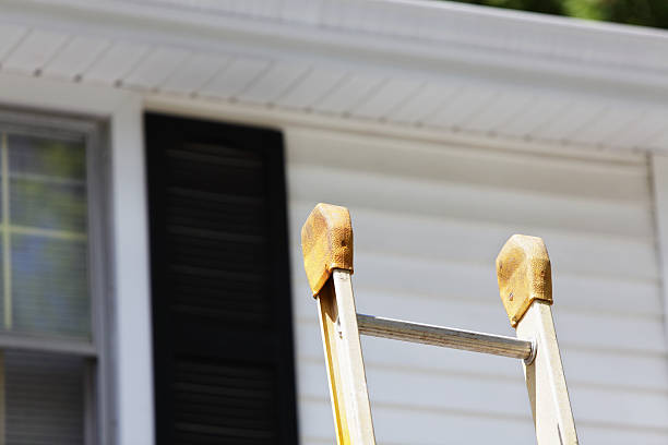 Best Yard Waste Removal  in Bellerose Terrace, NY