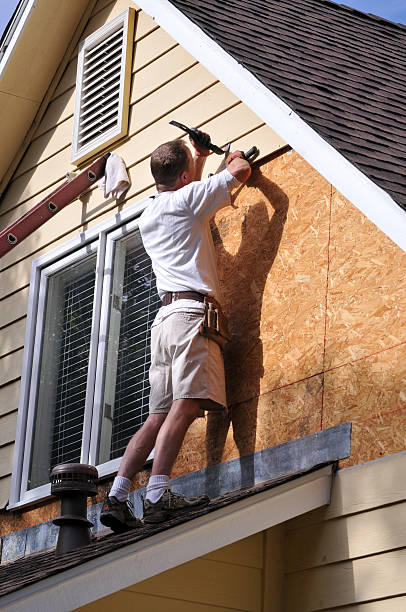 Best Hoarding Cleanup  in Bellerose Terrace, NY